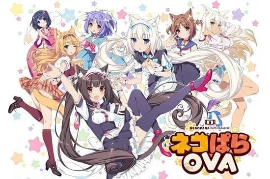 Nekopara OVA